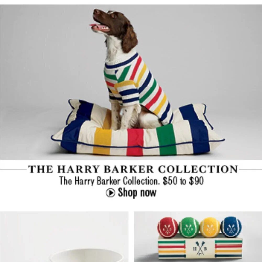 New Hudson Bay Company The Harry Barker Collection Stripes Dog Collar Large NWT
